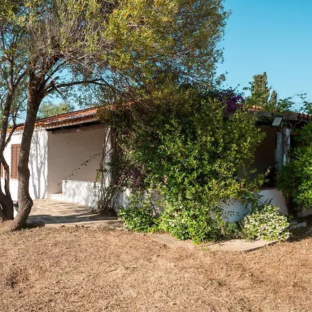 Chalet Olivastro By Klodge