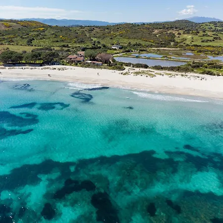 Olivastro By Klodge * Olbia