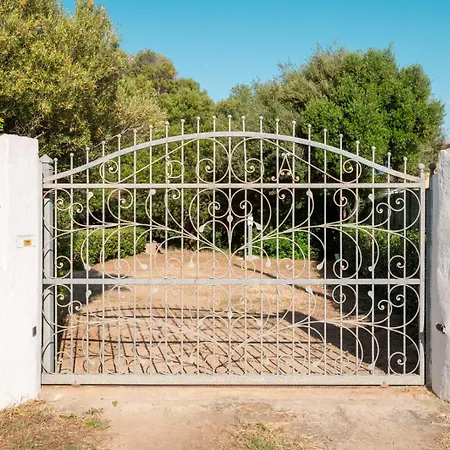 Olivastro By Klodge *