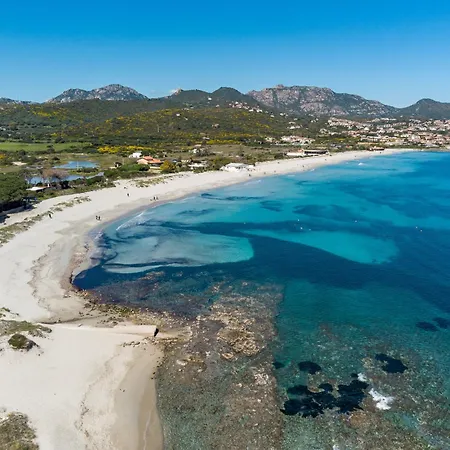 Olivastro By Klodge *