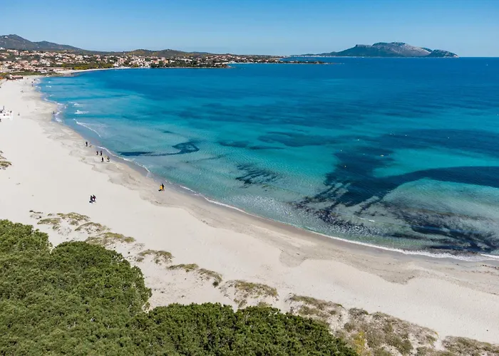 Olivastro By Klodge シャレー オルビア