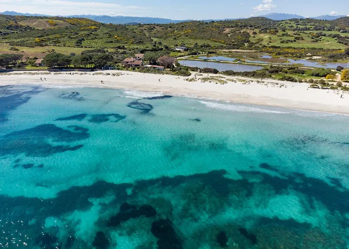 Olivastro By Klodge * オルビア