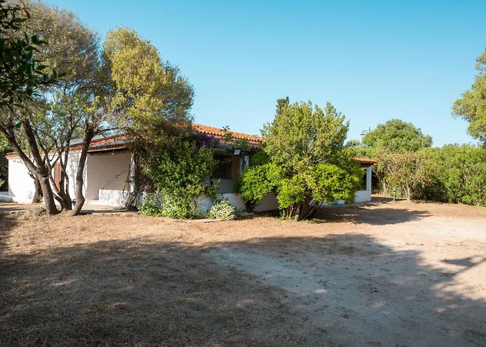 Chalet Olivastro By Klodge