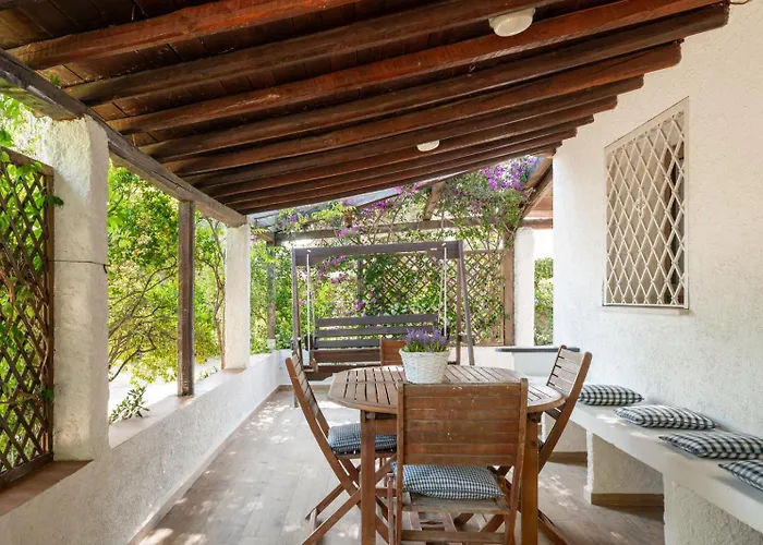 シャレー Olivastro By Klodge