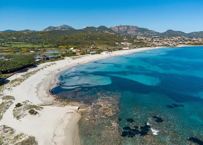 Olivastro By Klodge *