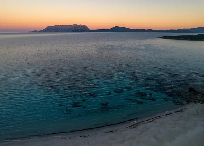 Olivastro By Klodge シャレー オルビア